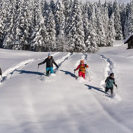Szálloda Natur- & Wanderhotel Tuxertal 4*