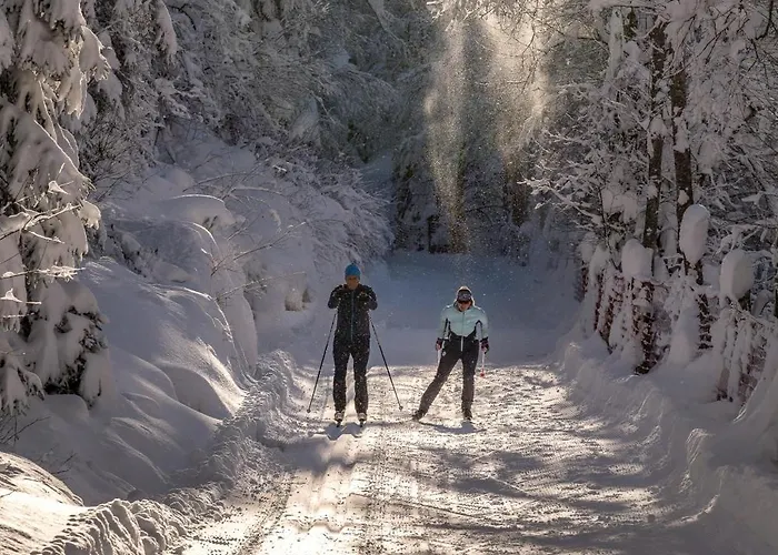 Natur- & Wanderhotel Tuxertal Hotel 4*