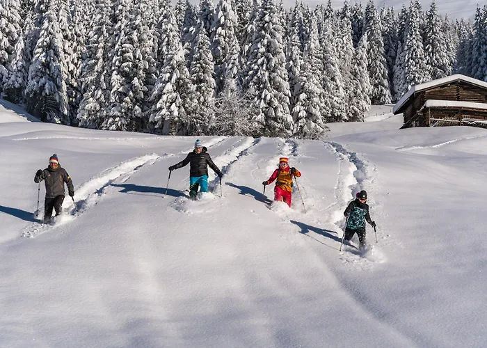 Ξενοδοχείο Natur- & Wanderhotel Tuxertal 4*